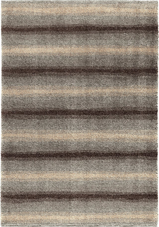 Orian Rugs Wild Weave Skyline Pewter Area Rug by Palmetto Living main image