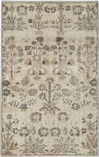NuStory Bovina Wildflower Sampler Neutral Area Rug by Newell Turner main image