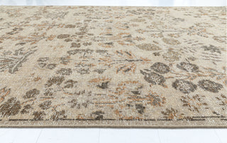 NuStory Bovina Wildflower Sampler Neutral Area Rug by Newell Turner 