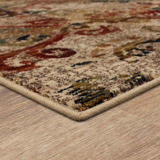 Karastan Intrigue Wile Multi Area Rug Lifestyle Image