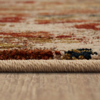 Karastan Intrigue Wile Multi Area Rug Detail Image