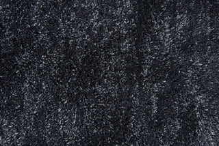 Rizzy Whistler WIS101 Black Area Rug 