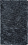 Rizzy Whistler WIS101 Black Area Rug main image