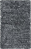 Rizzy Whistler WIS103 Gray Area Rug main image