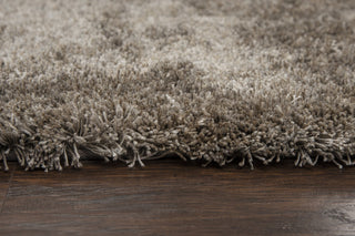 Rizzy Whistler WIS104 Neutral Area Rug 