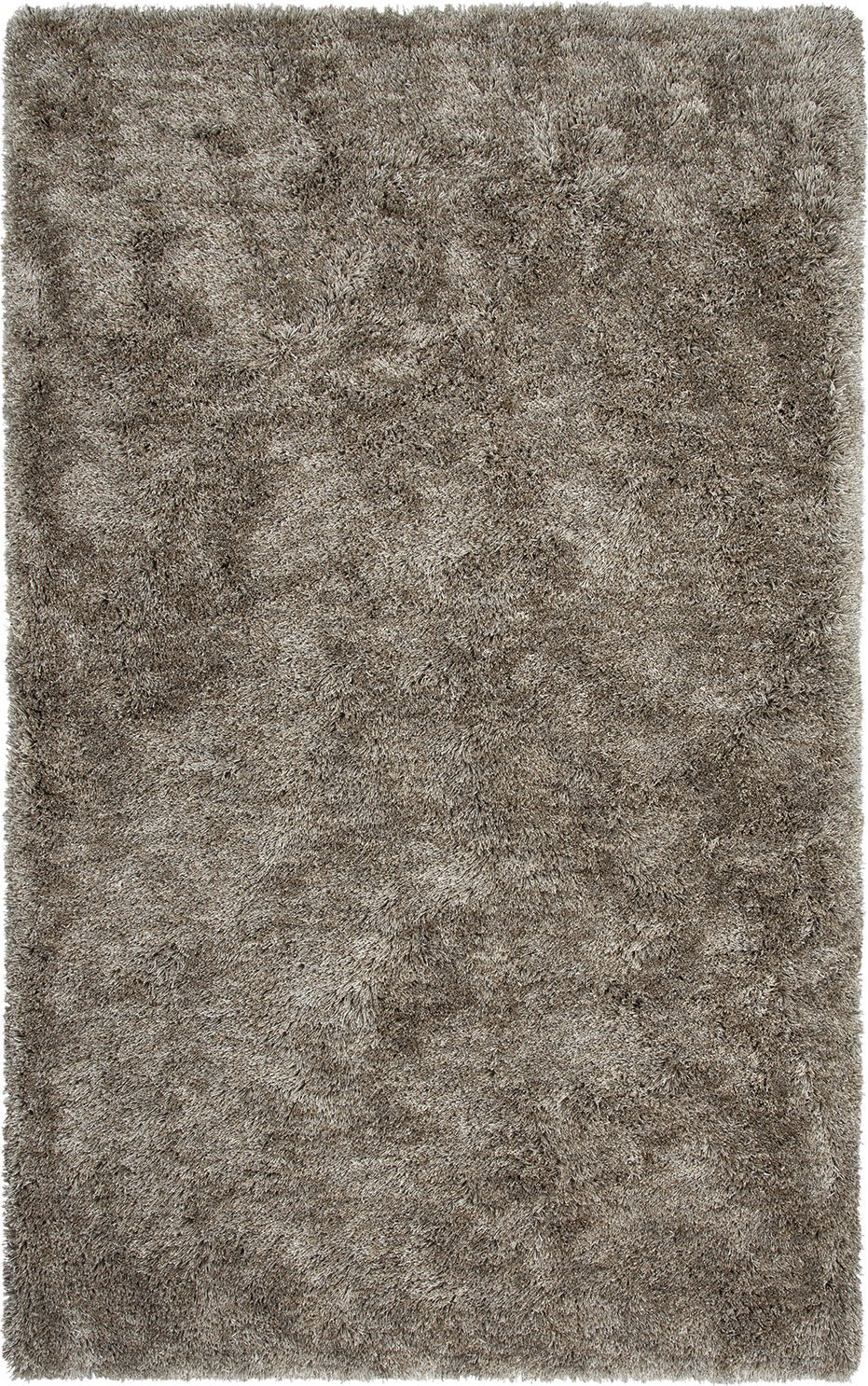 Rizzy Whistler WIS104 Neutral Area Rug main image