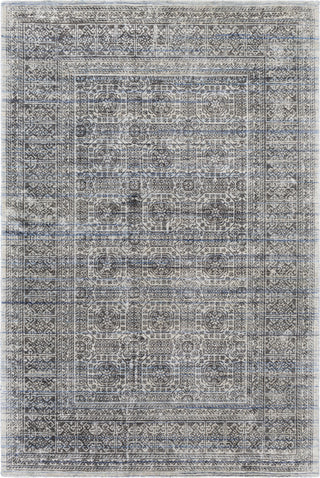 Surya Wembley WMY-2301 Area Rug main image