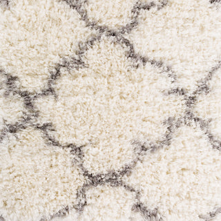 Surya Winfield WNF-1002 Area Rug 