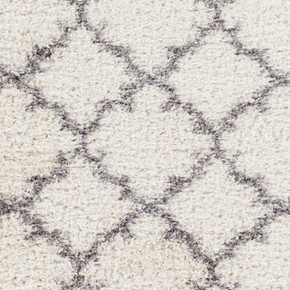 Surya Winfield WNF-1002 White Area Rug Sample Swatch