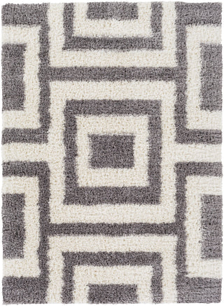 Winfield WNF-1004 Gray Area Rug by Surya