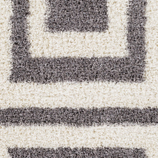 Surya Winfield WNF-1004 Gray Area Rug Sample Swatch