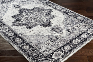 Surya Wanderlust WNL-2312 Area Rug  Feature