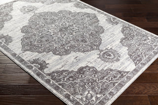 Surya Wanderlust WNL-2319 Area Rug  Feature