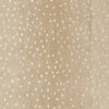 Momeni Woodland WOD-1 Beige Area Rug by Erin Gates Swatch Image