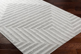Surya West Palm WPM-2304 Area Rug Corner Shot
