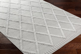 Surya West Palm WPM-2306 Area Rug Corner Shot