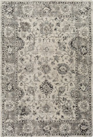 Surya Wilson WSN-2309 Area Rug main image