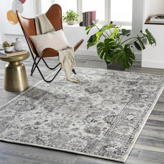 Surya Wilson WSN-2309 Area Rug Room Scene