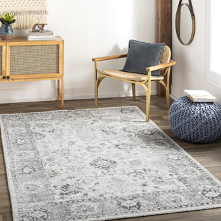 Surya Wilson WSN-2309 Area Rug Room Scene Feature