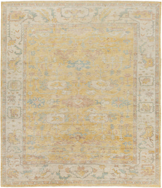 Surya Westchester WTC-8004 Area Rug 8' x 10'