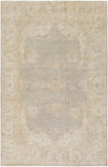 Surya Westchester WTC-8005 Ivory Hand Knotted Area Rug 6' X 9'