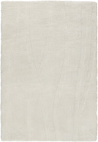 Surya Wave WVE-1003 Ivory Area Rug 2' x 3'