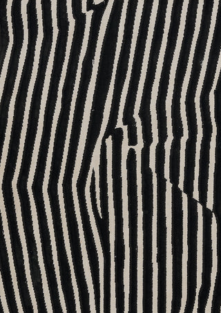 Momeni Xander XAN-2 Black Area Rug Main Image