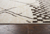 Rizzy Xcite XI6947 Beige Area Rug Style Image