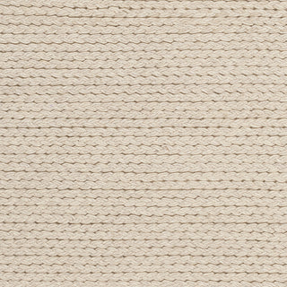 Surya Yukon YKN-2000 Beige Hand Woven Area Rug Sample Swatch