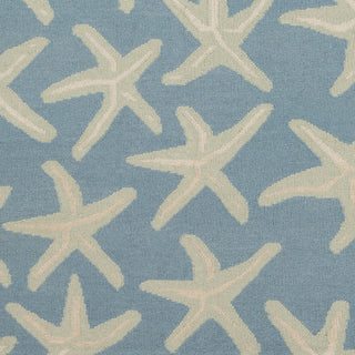 Surya Yacht Club YTC-2001 Sky Blue Hand Woven Area Rug Sample Swatch