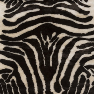 Artistic Weavers Zadie Zebra ZAD6251 Area Rug Swatch