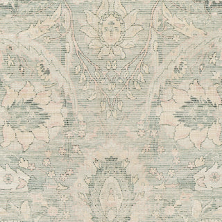 Livabliss Zainab ZAI-2302 Area Rug