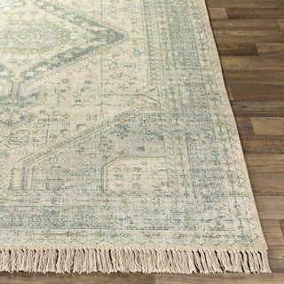 Livabliss Zainab ZAI-2303 Area Rug