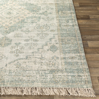 Livabliss Zainab ZAI-2311 Area Rug