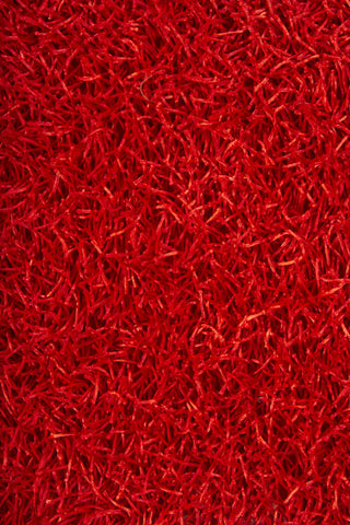 Chandra Zara ZAR-14502 Red Area Rug Close Up