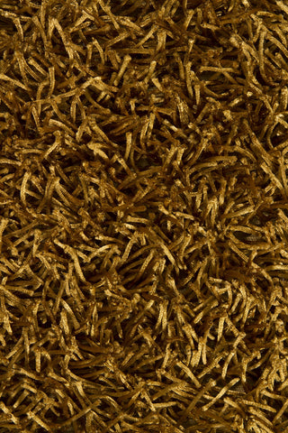 Chandra Zara ZAR-14505 Gold Area Rug Close Up