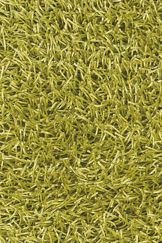 Chandra Zara ZAR-14536 Green Area Rug Close Up