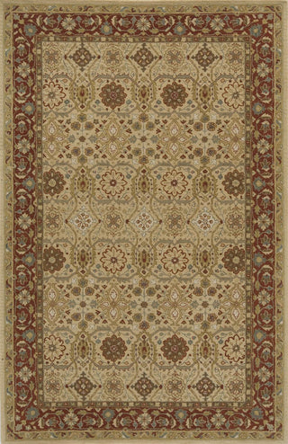 Momeni Zarin ZR-01 Gold Area Rug main image