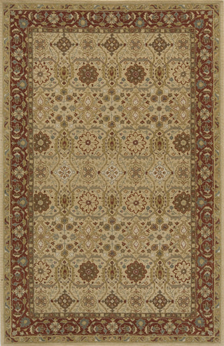 Momeni Zarin ZR-01 Gold Area Rug Main