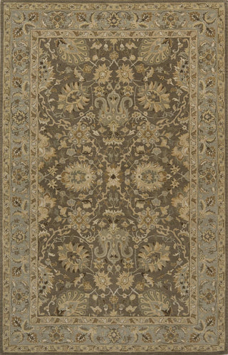 Momeni Zarin ZR-02 Mocha Area Rug main image