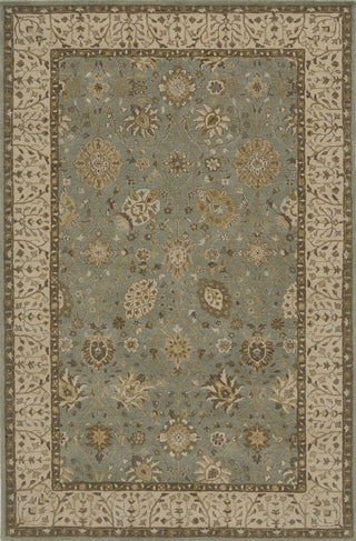 Momeni Zarin ZR-04 Jade Area Rug main image