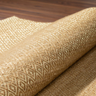 Dalyn Zen ZE1 Gold Area Rug