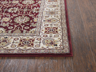 Rizzy Zenith ZH7059 Red Area Rug Detail Image