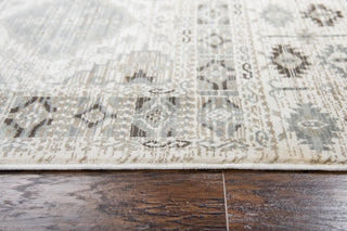 Rizzy Zenith ZH7079 Ivory Area Rug Style Image