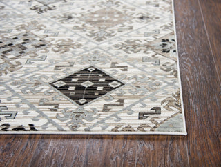 Rizzy Zenith ZH7082 Ivory Area Rug Detail Image