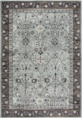 Rizzy Zenith ZH7087 Sage Green Area Rug Main Image