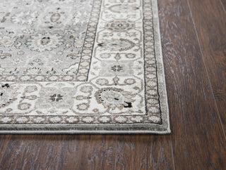 Rizzy Zenith ZH7093 Gray Area Rug Detail Image