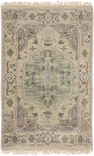 Surya Zeus ZEU-7827 Light Gray Area Rug 2' x 3'