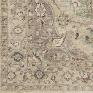 Surya Zeus ZEU-7827 Light Gray Hand Knotted Area Rug Sample Swatch