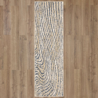 Karastan Rendition Zeus Frost Grey Area Rug by Stacy Garcia Main Image